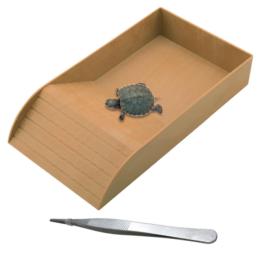 kathson Reptile Tortoise Turtle 14″ L x 7.87″ W x 2.36″ H, Style 1-Brown