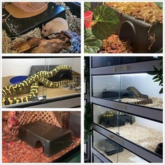 Space-Saving Snake Hide for Snakes & Small Pets – Stylish Black Design M Size