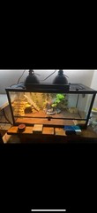 68 Gallon Reptile Enclosure (36″x24″x18″)