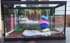 BASEBALL DESIGN BLUE ATTACHABLE RESTING SOFT BED SET COVER 4 BEARDED DRAGONS