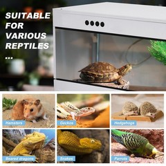 Reptile Enclosure 39X16X16″ Terrarium Snake Tank Cage No Temperature Control