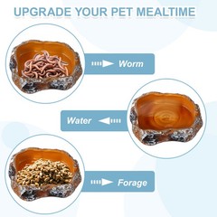 Reptile Food Bowl, Reptile Feeding Dish Corner Bowl S (5.1In, Orange)