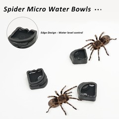 6 Pack Black Spider Micro Water Bowls Mini Resin Dish Set
