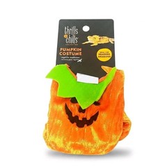 Thrills & Chills Pumpkin Costume Bearded Dragon Reptile Small Pet Halloween New