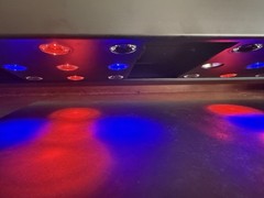 Repti Zoo Led Reptile and Terrarium Light With UVB Feature. Model LED007D-18