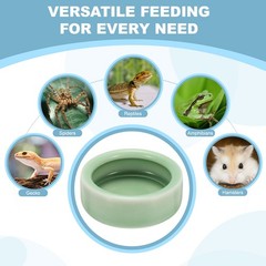 Reptile Food Bowl Worm Water Dish Ceramic Pet Bowl Small 3″ Plum Green