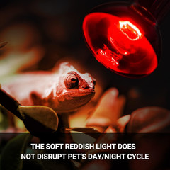 REPTI ZOO 75W Reptile Heat Lamp Bulb, 2PCS Day & Night Basking Spot Light Combo