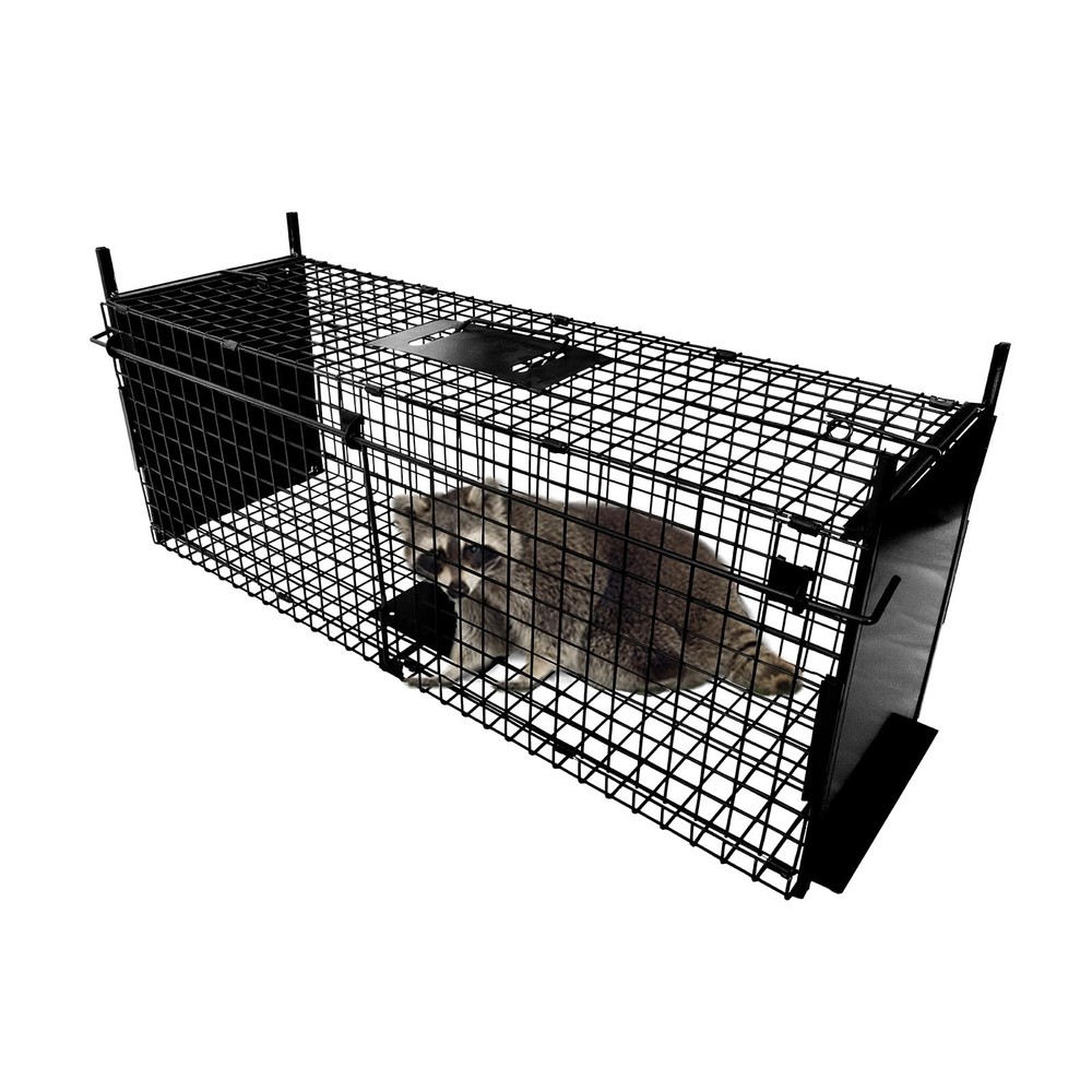 Animal Cage Trap 32 X 13 X 10 inch Double Door Animal Cage Trap Metal Trap Ca…