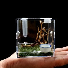 AWXZOM Spider Terrarium, Acrylic Reptile Breeding Box Jumping Clear