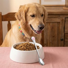 2 PCS Stainless Steel Dog Cat Food Scoop, Metal Pet Spoons for Wet Food, Cute…
