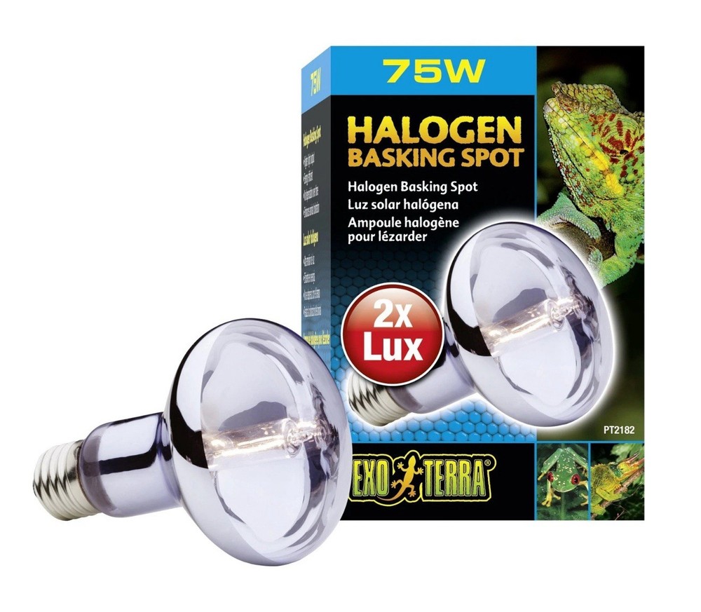 Exo Terra 75 Watt White Light Bulb for Pet Safety and Quality Living