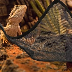 2Pcs Durable Pet Hammock Toy Olive Green Mesh Reptile Swing for Lizards