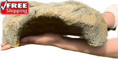 Extra Large Reptile Hide Resin Snake Hideout for Ball Pythons Reptile Hides and