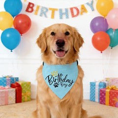 Adjustable Reversible Dog Birthday Boy Bandana Collar, Premium Durable Double…