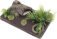 Reptile Terrarium Habitat Decoration Kit Rain Forest Style Include Terrarium Bac