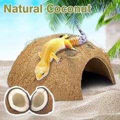 Reptile Hideouts 7 Pcs Coconut Shells 4.5″ Diameter for Gecko Lizard – Natural
