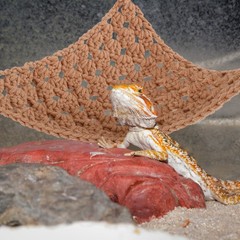 Reptile Cage Hammock Brown Cotton Rope Pet Bed Hanging for Lizards and Snakes
