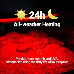 WACOOL 4 Pack Reptile Heat Lamp Bulbs,100W Basking Spot Light for Reptiles & …