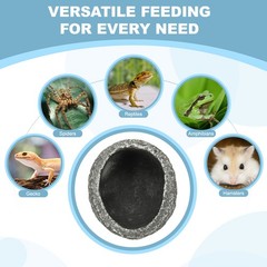 Reptile Food Bowl Worm Water Dish Resin Pet Bowl 4″ White for Scaled Pet