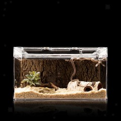 Reptile Terrarium Tank Habitat Stackable Clear Visibility Amphibian Feeding Box