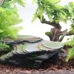 Reptile Resting Terrace Tortoise Climbing Platform Shale Scape Step Ledge, Re…