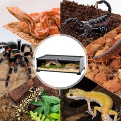 REPTIZOO Small Reptile Tank 20″ x 12″ x 6″ Glass Reptile Terrarium with Top F…