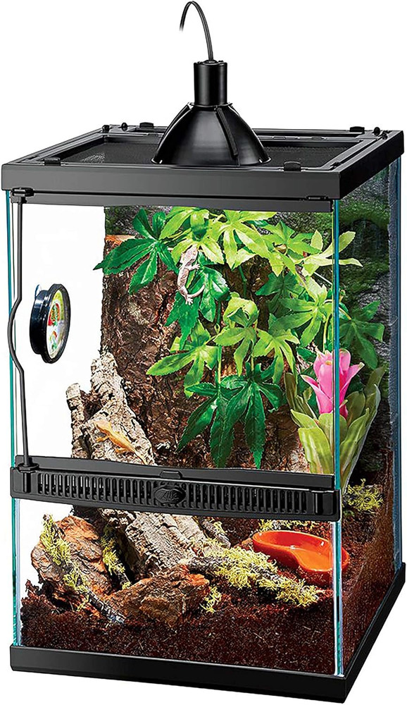 11 Gallon Glass Tropical Vertical Habitat Starter Kit for Small Tree Dwelling Re
