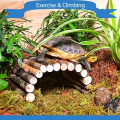 Bearded Dragon Tank Accessories Reptile Mat Bridge Hammock Jungle Climbing Vines