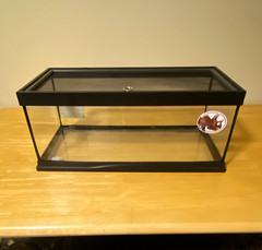 Glass Reptile Terrarium Tank w/ Mesh Screen Top Lid, Black Frame