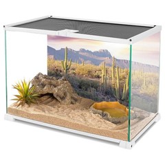 AWERT Reptile Habitat Background Blue Sky Oasis Mountain Cactus Sun and Deser…