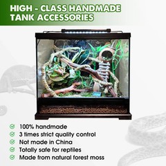 6.5FT Reptile Vine & Moss Set for Climbing Bendable Branch, Natural Moss Rope…
