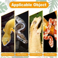 4 PCS Reptile Hide Box Leopard Gecko Snake Hideout Cave Ball Python Tank