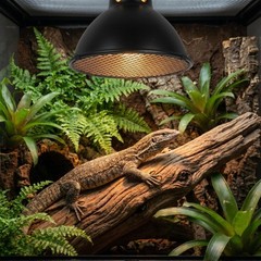 2Pcs Reptile Heat Lamp Cage Covers Black Iron Durable Anti-Scald Lamp Shade