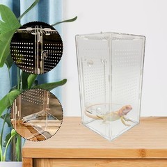 Acrylic Mantisese Terrarium Portable Landscaping Space Hatching Case Terrarium