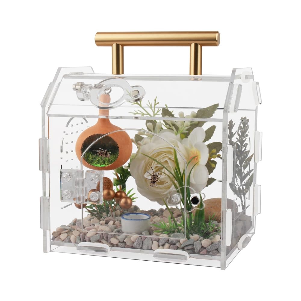 Jumping Spider Enclosure,Premium Acrylic Spider Enclosure – Ideal for Tarantu…