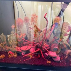 Emours Natural Aquarium Driftwood Tropical Fish Plant Habitat Decor Vary Size…
