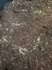 1/2 Gallon Bioactive Substrate For Reptiles
