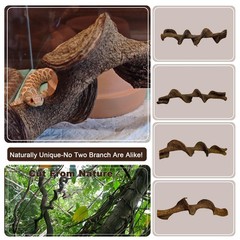 BNOSDM 2PCS Natural Reptile Climbing Branches Decor,1.8-2.2″ Thick Natural Sn…