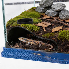 Black Reptile Underground Cave Viewing Hide Lizard Hognose Leopard Snake Gecko H