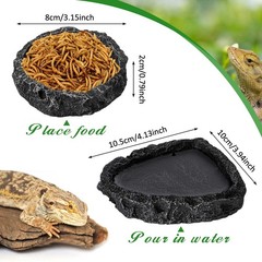 Jingmore 4 Pcs Bearded Dragon Food Bowl Set Reptile as shown in the picture