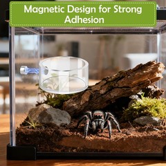 6 PCS Jumping Spider Feeding Dish Set, 2 PCS Magnetic Food Dish for Jumping S…