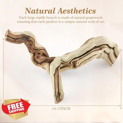 Janinka 14-17″ Wood Reptile Branch