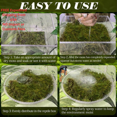 ZeeDix 8 OZ Premium Sphagnum Moss for Reptiles 8oz, 8