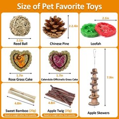 Hamster Toys Set, Guinea Pig Toys Small Animal Chewing Toy and Rat Cage Acces…