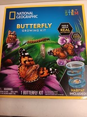 NATIONAL GEOGRAPHIC Butterfly Growing Kit – Butterfly Habitat Kit