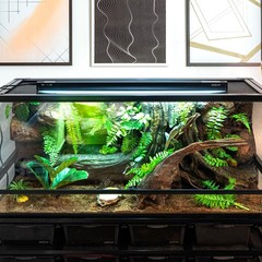 Switchable UVB Light for Reptiles, 39W T5 UVB Light Combo Kit for Tropical & …