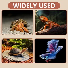 White Hermit Crab Underground Hideout Cave Corner 3in1 Habitat Shelter