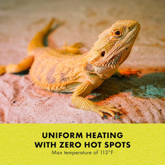 Heat Mat, Terrarium Heater for Reptiles, Snakes (Ball Pythons, Corn Snakes), Leo