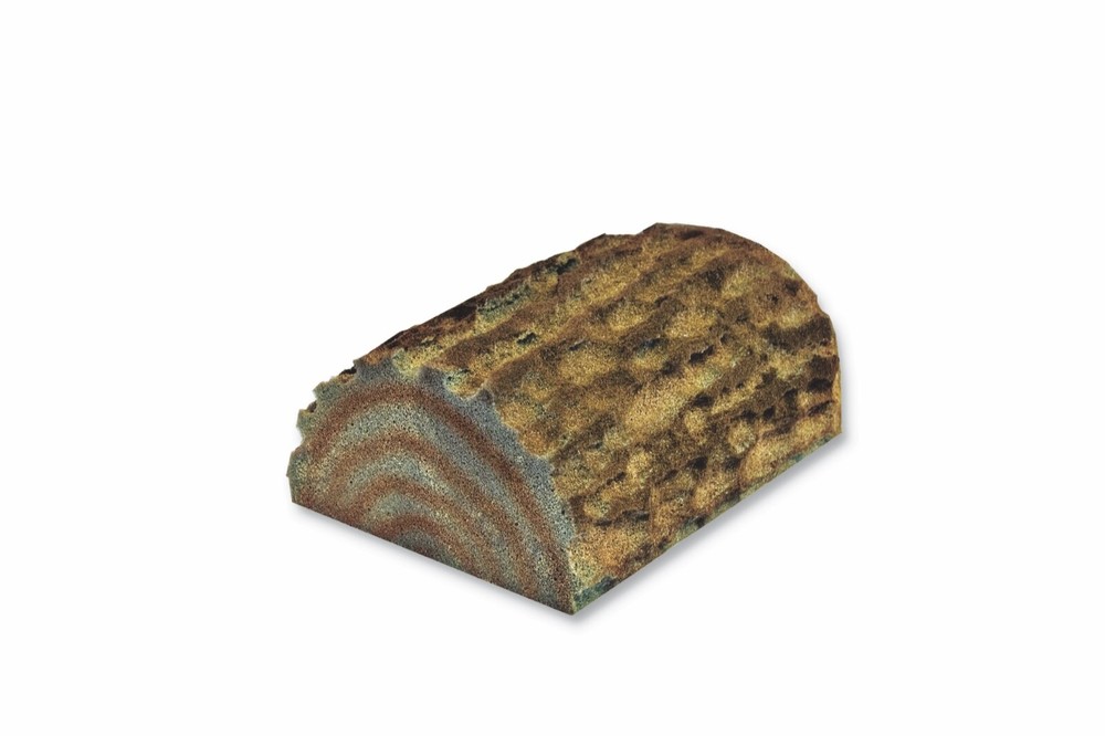 T-Rex Reptile Terrarium Decor – Log Landing – 10 Gallon Basking Area