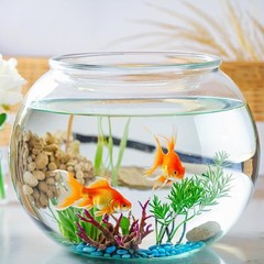 2Pcs Plastic Fish Bowls, 135oz Round Tank 1 Gallon Clear